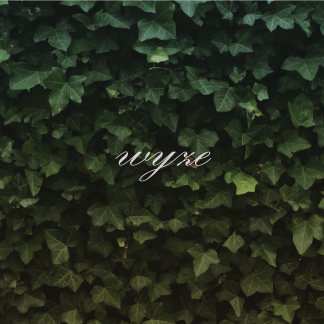 Music Producer - wyze