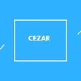 Music Producer - cezar