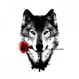Music Producer - nawmsmusic