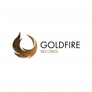 Music Producer - goldfirerecords