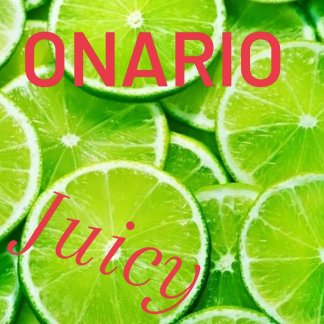 Music Producer - onario