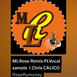 Music Producer - mlrosemusic