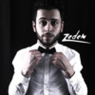 Music Producer - zedem