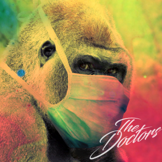 Music Producer - thedoctors