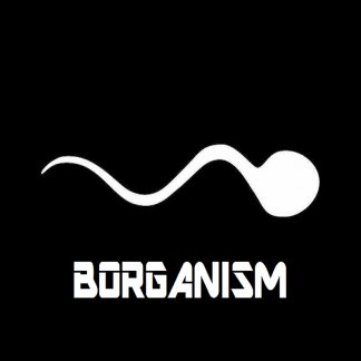 Music Producer - borganism