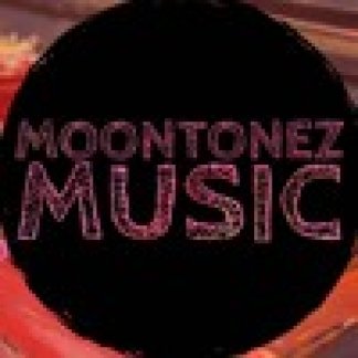 Music Producer - moontonez