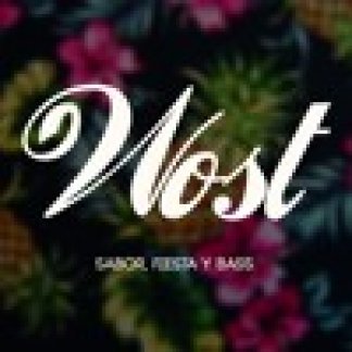 Music Producer - wost