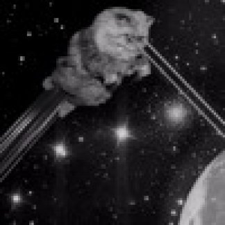 Music Producer - mikowen