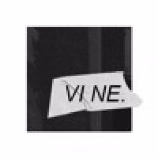 Session Singer, Vocalist, Songwriter - vi_ne