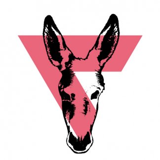 Music Producer - donkeydust