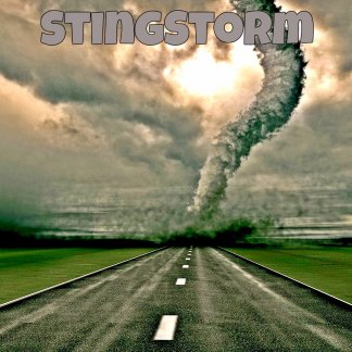 Music Producer - stingstorm