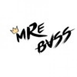 Music Producer - mre_bvss