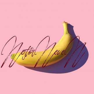 Music Producer - nestor_neven
