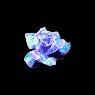 Music Producer - scvrt