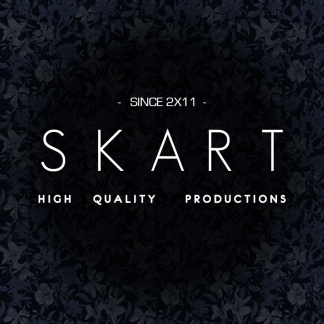 Music Producer - skart