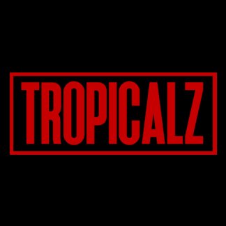 Music Producer - tropicalz