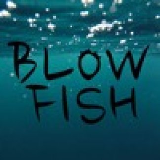 Music Producer - blowfish