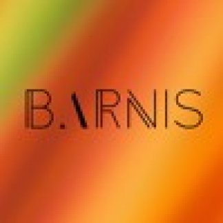 Music Producer - barnis