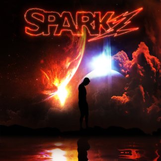 Music Producer - sparkz
