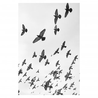 Music Producer - kevluckhurst