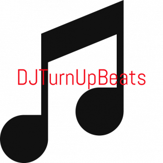 Music Producer - djturnupbeats