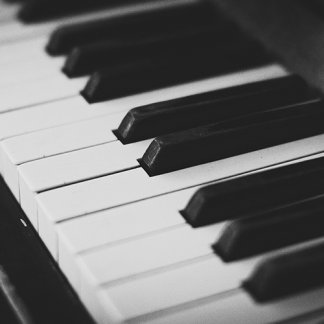 Music Producer - modeplex