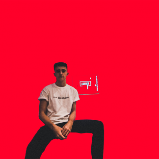 Music Producer - aramisinc