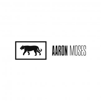 Music Producer - aaronmoses