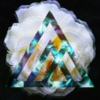 Music Producer - ttdf