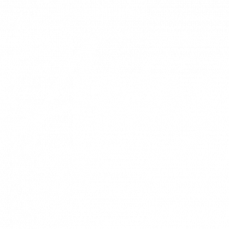 Music Producer - aldous