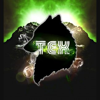 Music Producer - tex