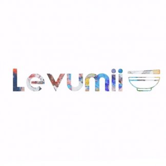 Music Producer - levumii