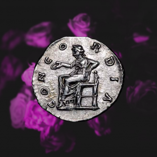 Music Producer - concordiamusic