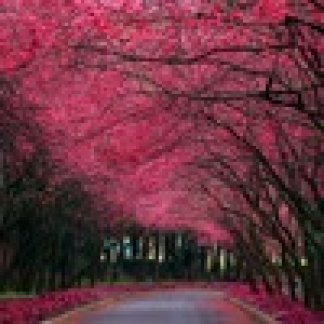 Music Producer - edm_ash