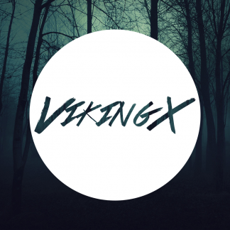Music Producer - vikingx