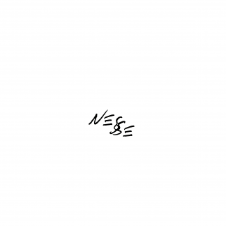 Music Producer - nesse