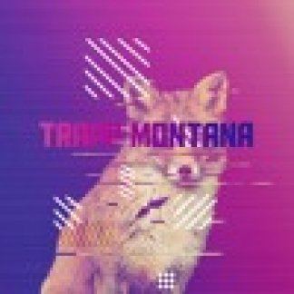 Music Producer - trappmontana