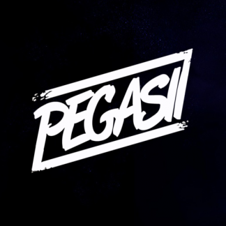 Music Producer - pegasii