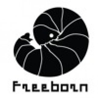 Session Singer, Vocalist, Songwriter - freeborn