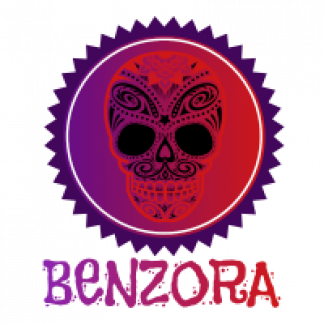Music Producer - benzora