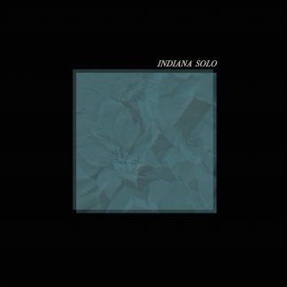 Music Producer - indiana_solo