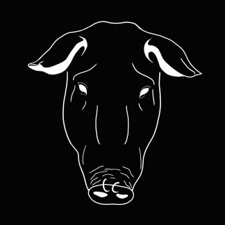 Music Producer - ill_double