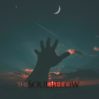 Music Producer - thesoulbelow