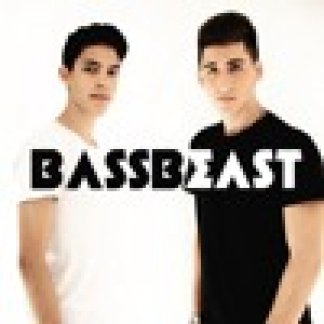Music Producer - bassbeasts