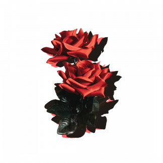 Session Singer, Vocalist, Songwriter and Music Producer - drippinginroses