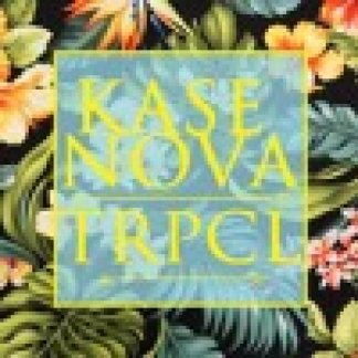 Music Producer - kasenova