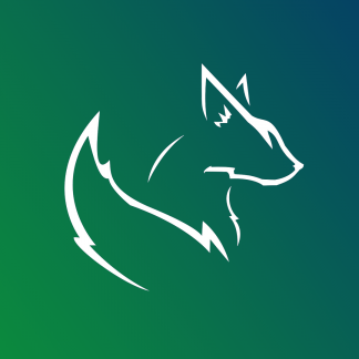 Music Producer - lightfox