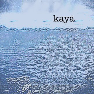 Music Producer - kaya