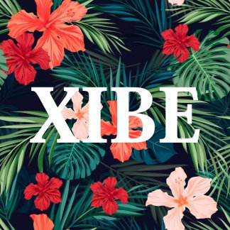 Music Producer - XIBE