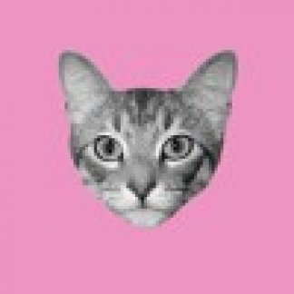 Music Producer - futurecat